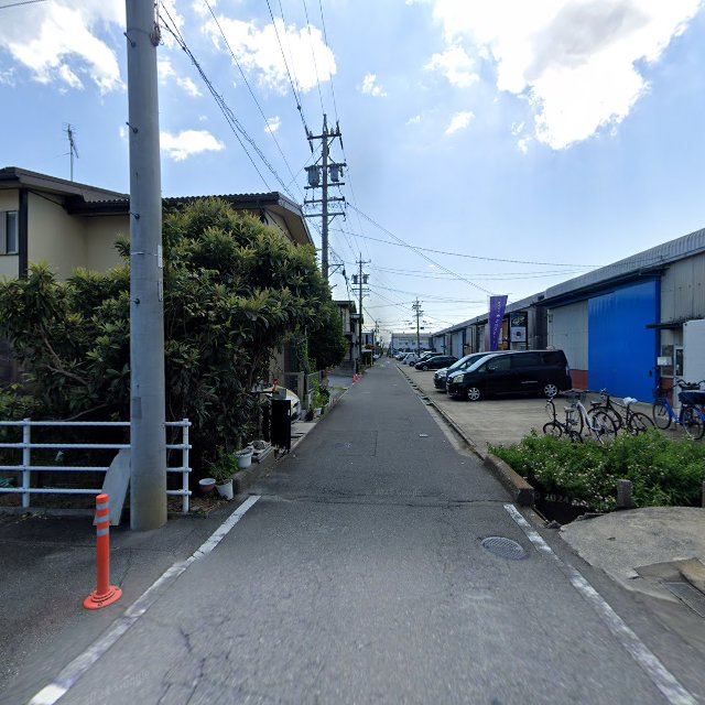 古着と植物 Thriftの店内の様子